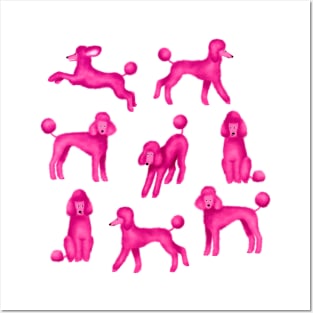 Pink Poodles Posters and Art